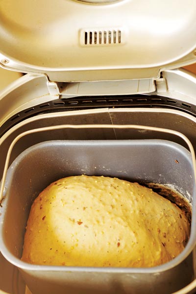 Bread Machine Tips: Using a Bread Machine to Knead Dough - Grit